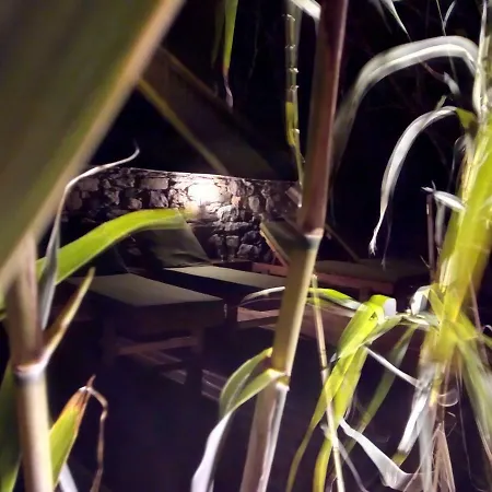 Kyparissi & 아파트 *