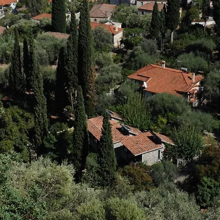 Apartment Kyparissi &