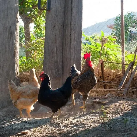 Kyparissi & Appartement Tirós