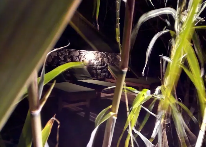 Kyparissi & Apartamento *