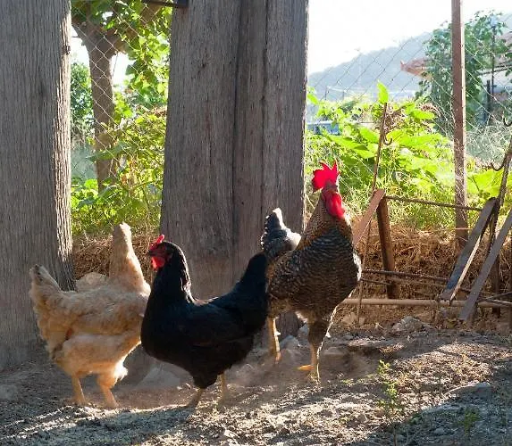 Kyparissi & Apartamento Tirós